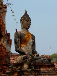 ayutthaya-buddha1