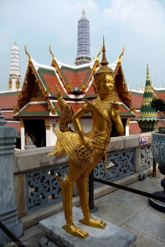 bangkok-gp-figur2